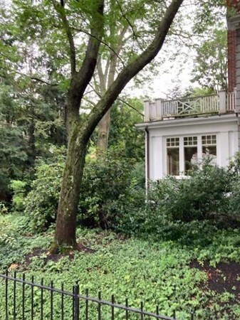 48 Fresh Pond Ln, Cambridge, MA 02138 - photo 7