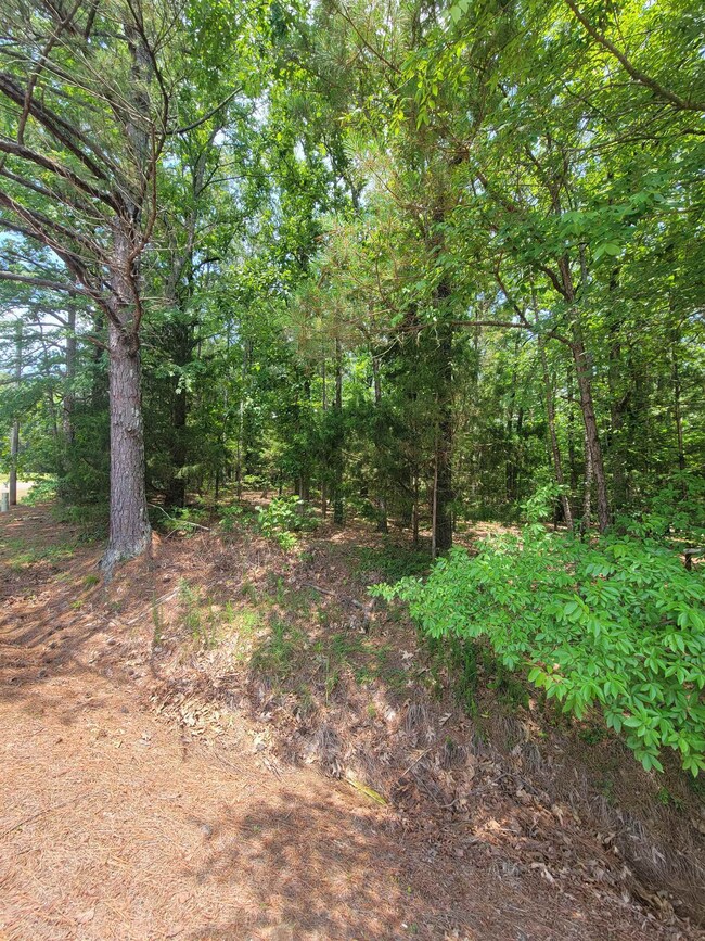 0 Huckleberry Dr unit RS202 10198336, Middleton, TN 38052 - photo 2