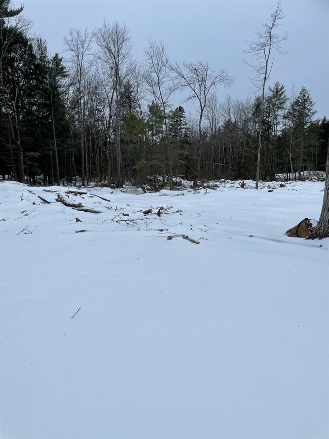 H2-5-1 Ray Rd, Dunbarton, NH 03046 - photo 3