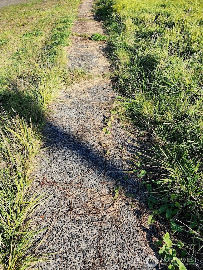 300 W Front St, Aberdeen, WA 98520 - photo 6