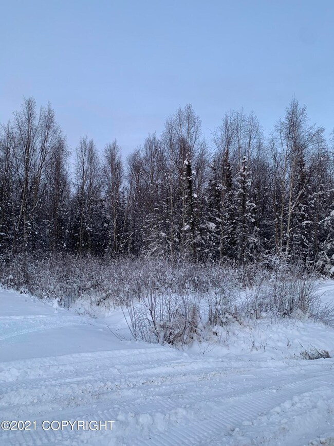 image00003