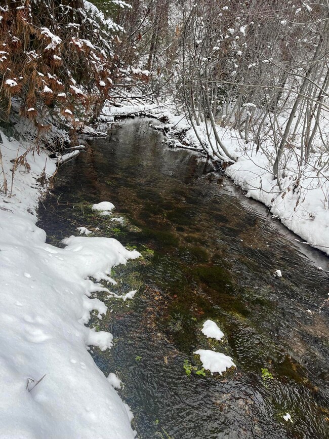 0 Olive Creek Rd unit 220175401, Granite, OR 97877 - photo 5