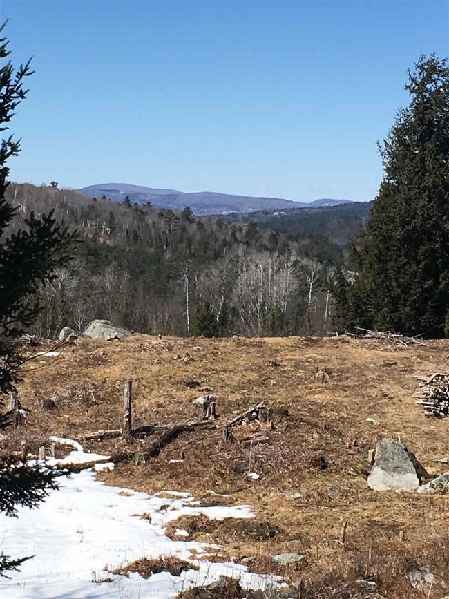 7 Steeple View Dr unit 7, Bethlehem, NH 03574 - photo 5