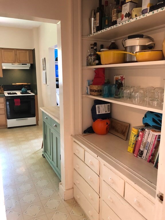 21 Bartlett Crescent unit 1, Brookline, MA 02446 - photo 3