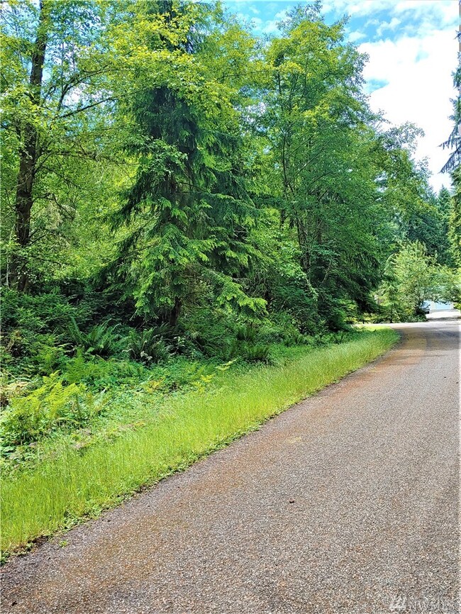 12816 & 12820 96th St Ct, Anderson Island, WA 98303 - photo 3