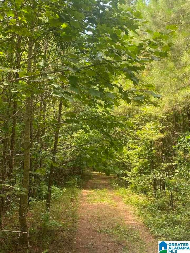 0 County Road 99 unit 39 Acres 1293078, Wedowee, AL 36278 - photo 2