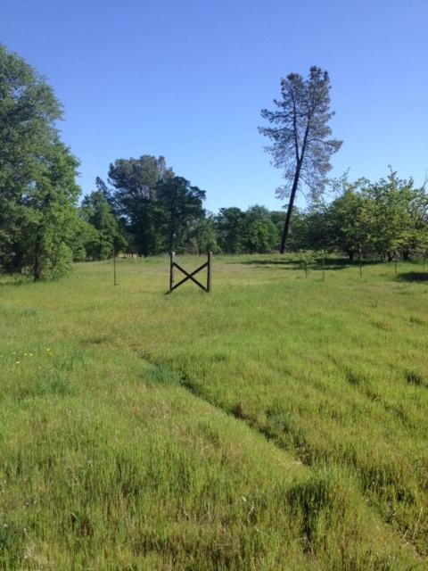 photo 2-2.JPG
