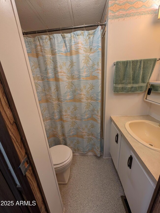 203 E Cholla Ln, Florence, AZ 85132 - photo 4