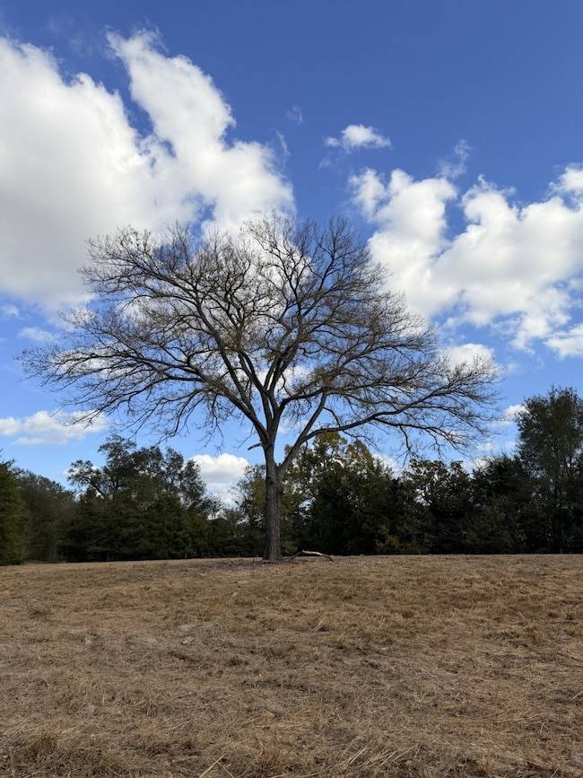 Lot #7 Rs County Road 1150, Emory, TX 75440 - photo 3