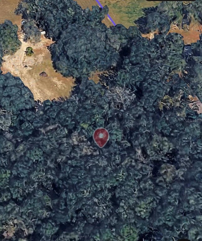 18016 SW 191st Ave, Archer, FL 32618 - photo 3