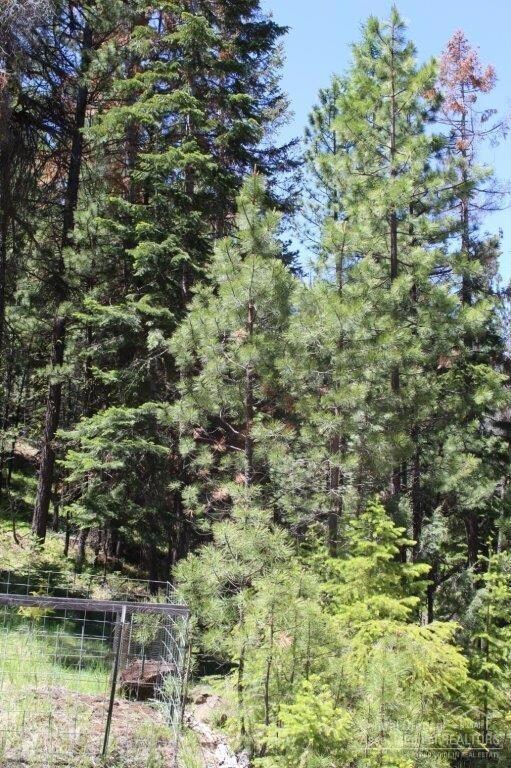 62390 Haggard Loop, John Day, OR 97845 - photo 4