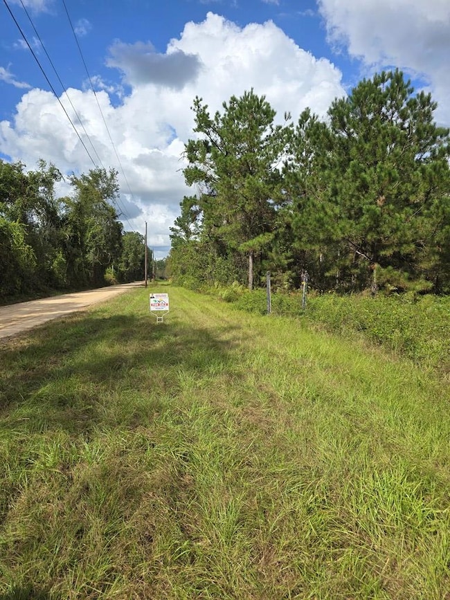 6069 Mullins Ln, Naylor, GA 31641 - photo 2