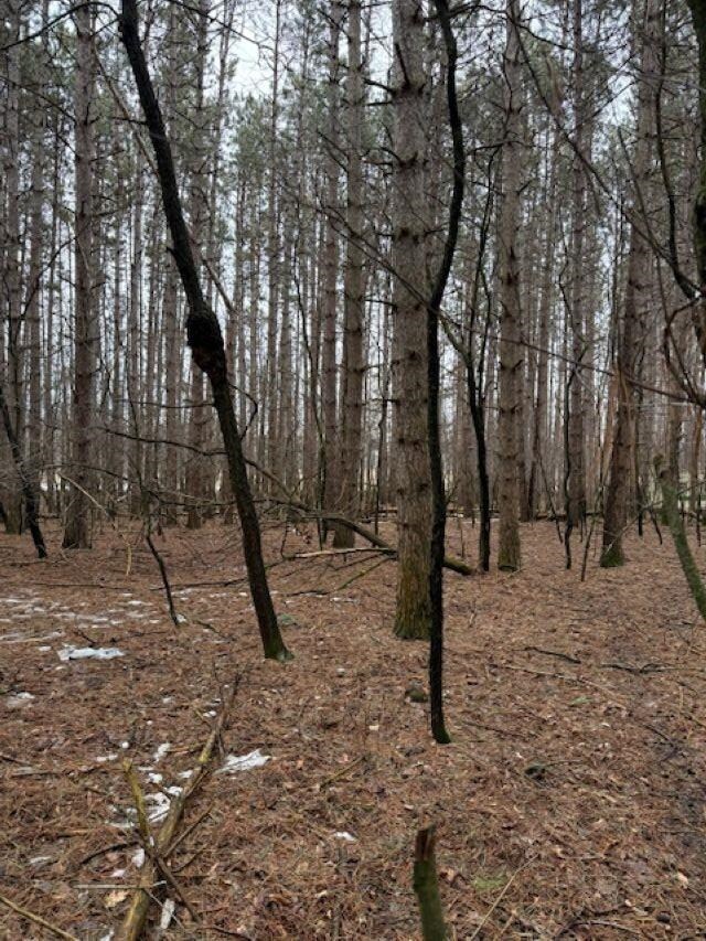 0 Lake St unit 50304618, Waupaca, WI 54981 - photo 4