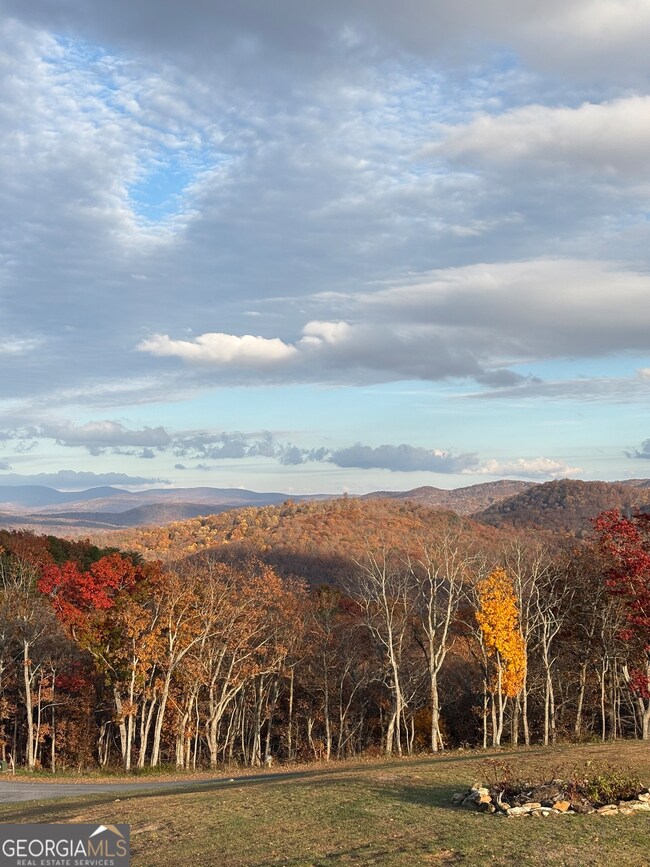 LOT 447 Woodward Way, Talking Rock, GA 30175 - photo 6