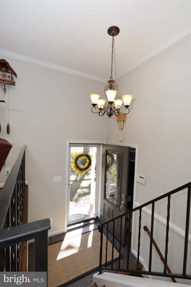 4440 Stark Place, Annandale, VA 22003 - photo 7