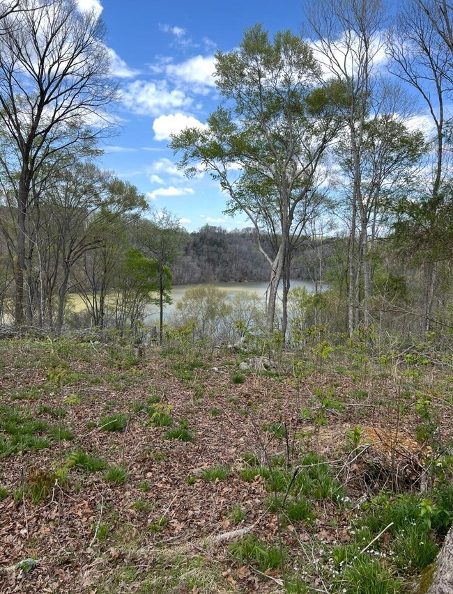 12 W Old Jamestown Rd, Russell Springs, KY 42642 - photo 6