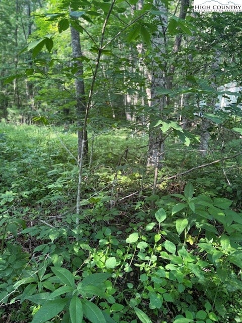 Lot 10 Billy Bob Ln, Creston, NC 28615 - photo 5