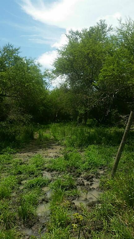 000 Spell Rd, Needville, TX 77461 - photo 3