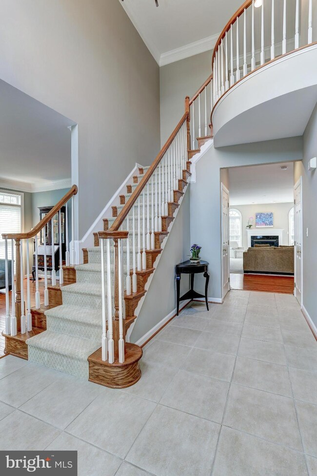 43043 Castlebar St, Chantilly, VA 20152 - photo 5