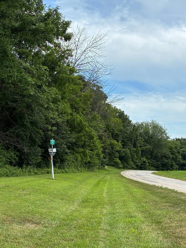 000 Petrolia Ln, Bridgeport, IL 62417 - photo 5