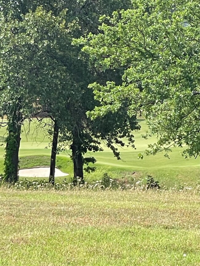 495 Toscana Cir, Gordonville, TX 76245 - photo 2