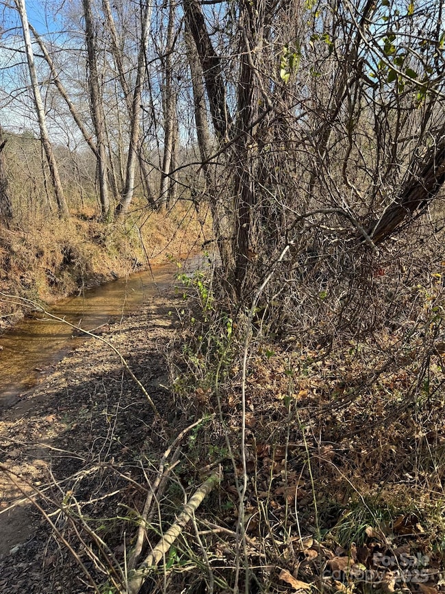000 Thunder Rd, Rutherfordton, NC 28139 - photo 2