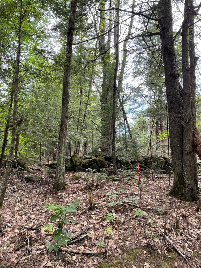 1 Bridgton Rd, Sweden, ME 04040 - photo 2