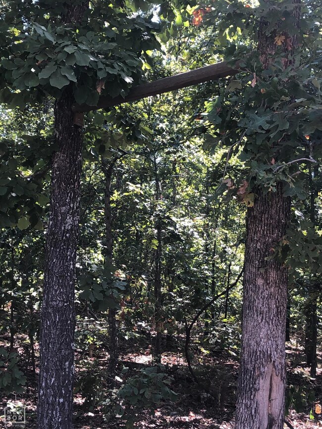 0 Rainbow Valley Trail unit 10124467, Mammoth Spring, AR 72554 - photo 5