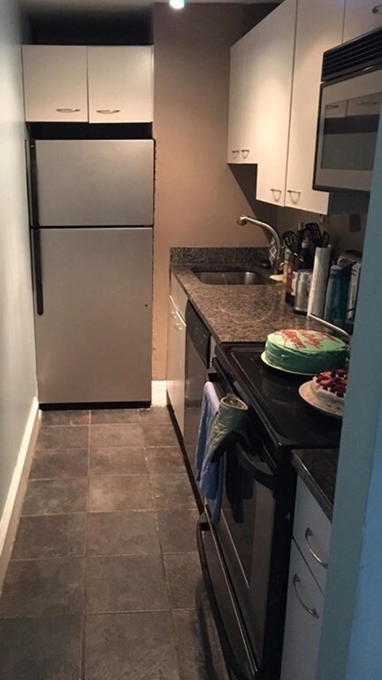 42 Haven St unit St, Boston, MA 02118 - photo 3