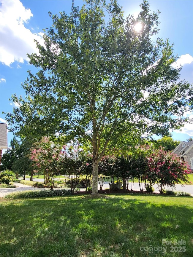 Mature trees grace the property.