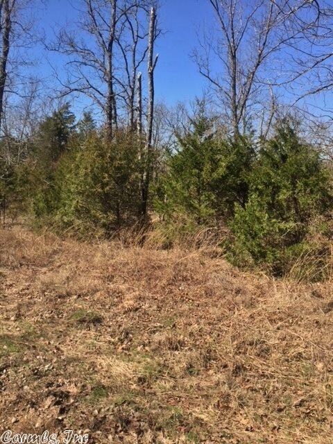 Tract 18/19 Skyhawk Dr, Cane Township, AR 72102 - photo 3