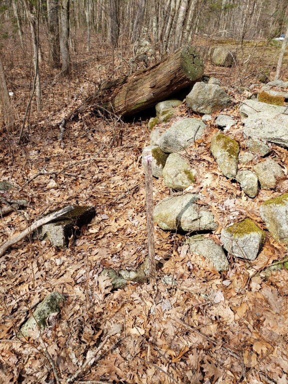 0 Paris Irons Rd, Glocester, RI 02814 - photo 4