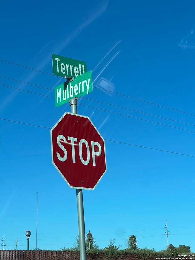 00 Mesquite and Mulberry, Jourdanton, TX 78026 - photo 7