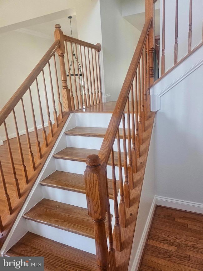 4135 Brookside Oaks, Owings Mills, MD 21117 - photo 3