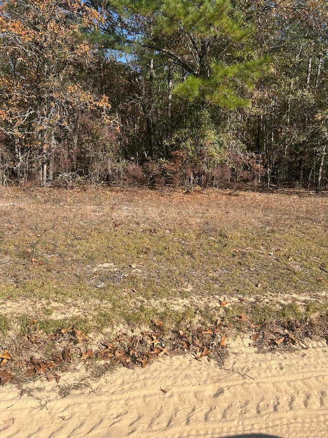 0 Hawthorn Trail, Saint Matthews, SC 29135 - photo 2