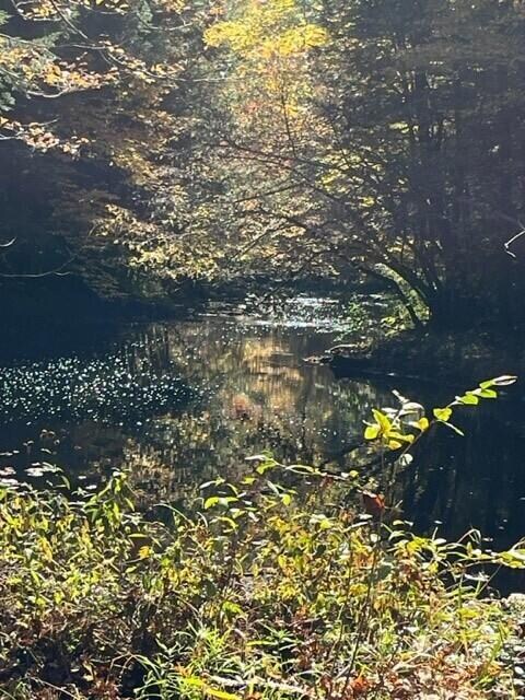 R9 Lot 4 Upper Middle Rd, Lebanon, ME 04072 - photo 2