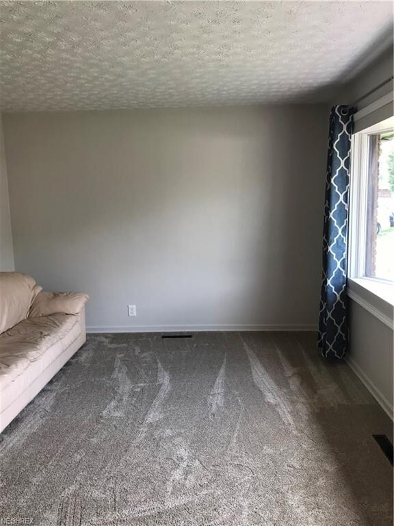 Front room/living room new carpet, window treatmen