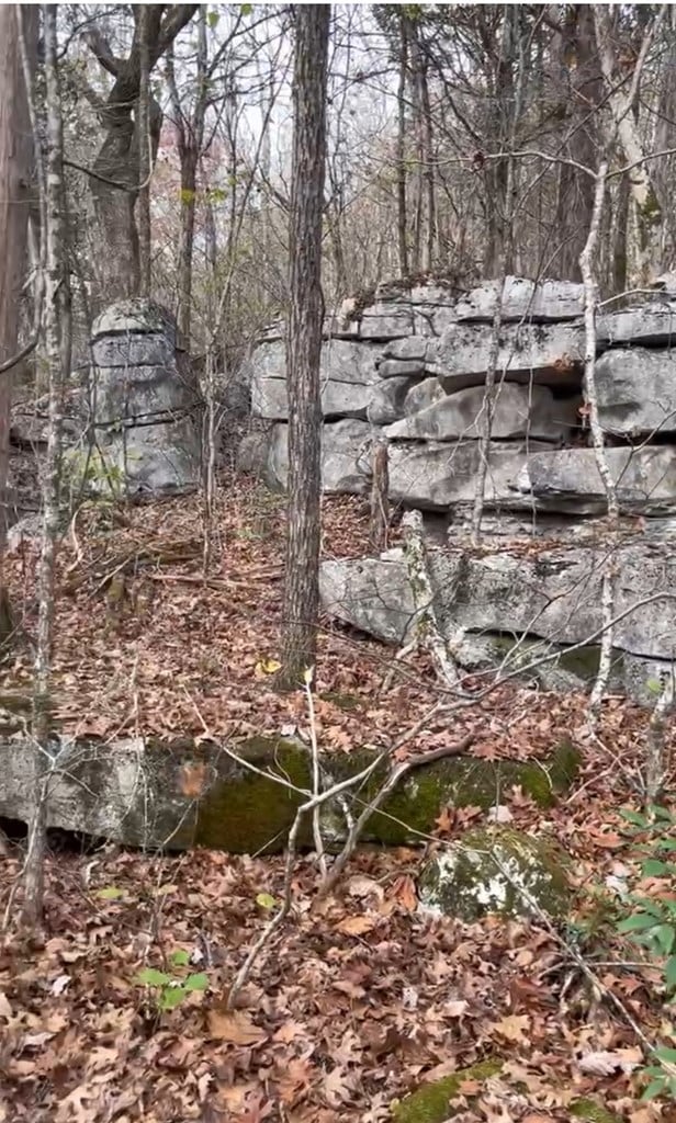 1644 Walker Cove Rd, Sparta, TN 38583 - photo 2