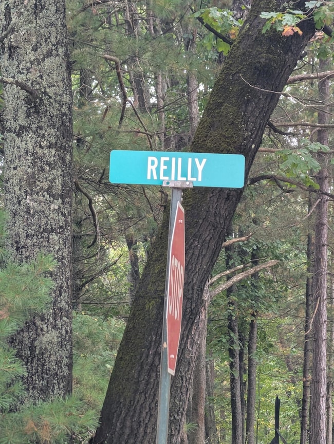 V/L 10AC Reilly Rd, Denton Township, MI 48651 - photo 2