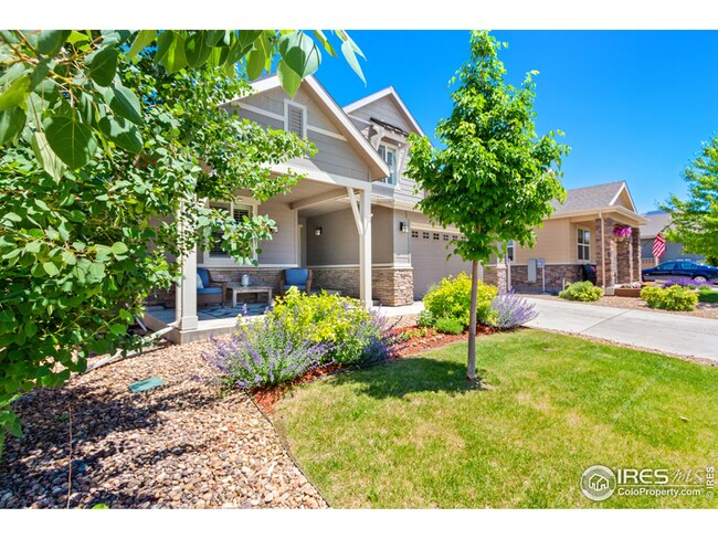 3914 Wild Elm Way, Fort Collins, CO 80528 - photo 4