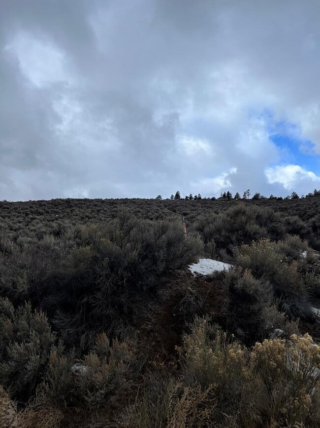 232 0, Fort Garland, CO 81133 - photo 3