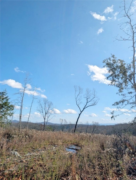 0 Nc 2900 unit 1329337, Marble Falls, AR 72648 - photo 2