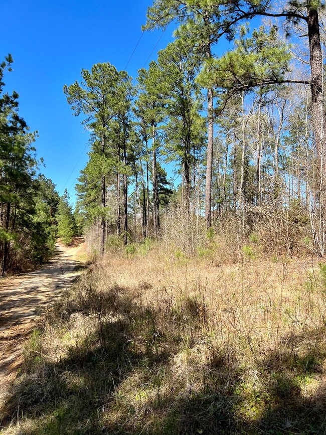 TBD Borrego Spring Rd, Nacogdoches, TX 75964 - photo 2