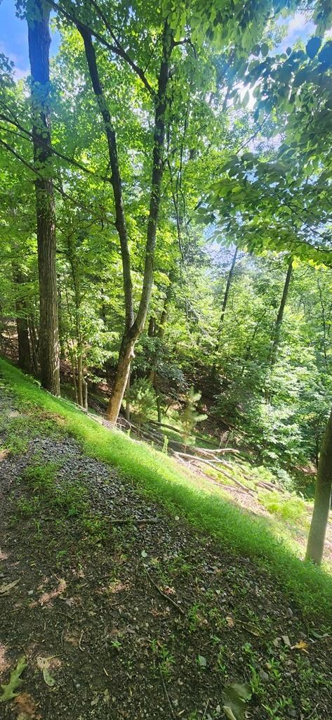 0 Mohawk Trail unit 406863, Ellijay, GA 30540 - photo 4