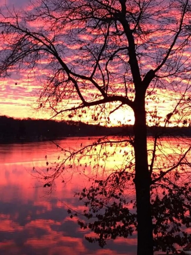 Lake Views