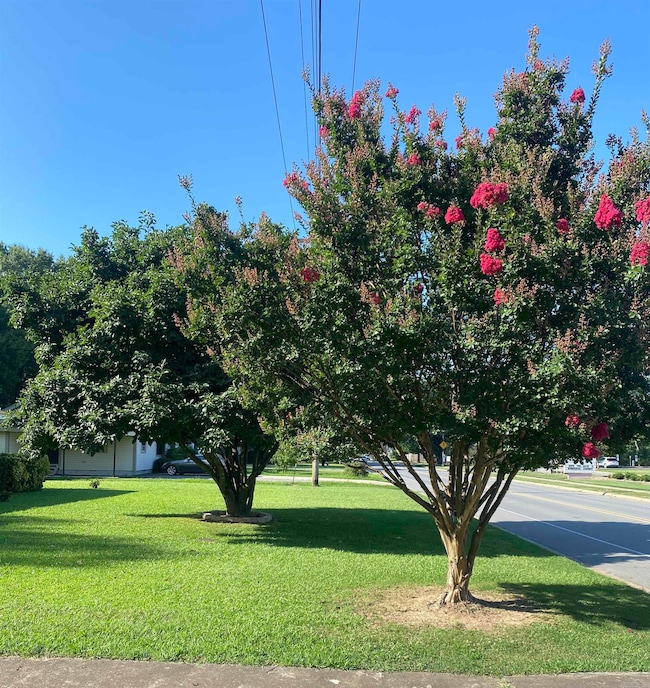 1212 Donaghey Ave, Conway, AR 72034 - photo 4