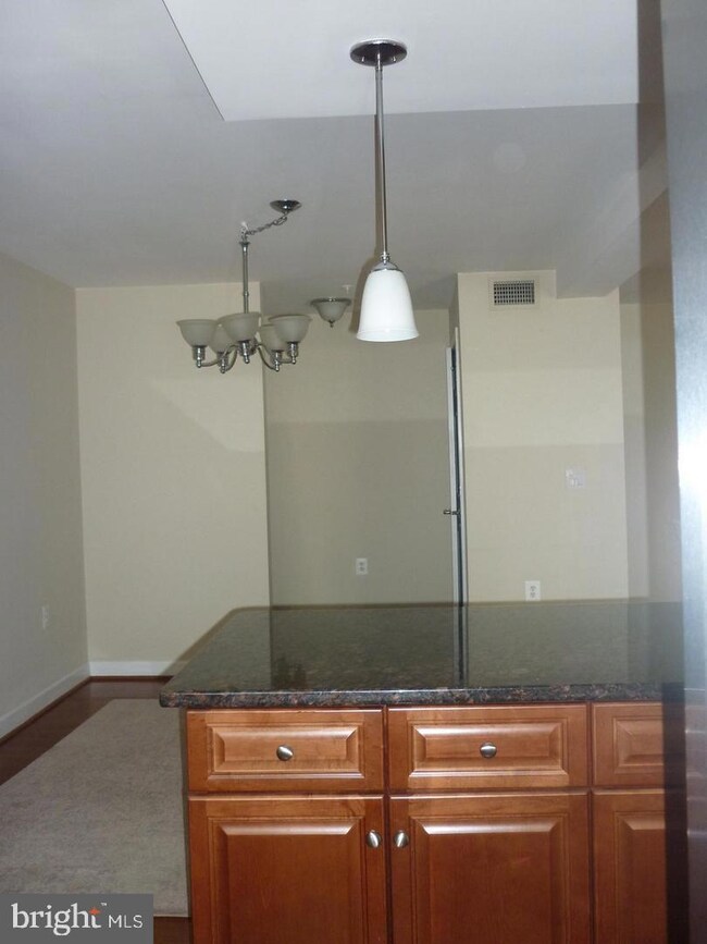 4069 S Four Mile Run Dr unit 302, Arlington, VA 22204 - photo 5