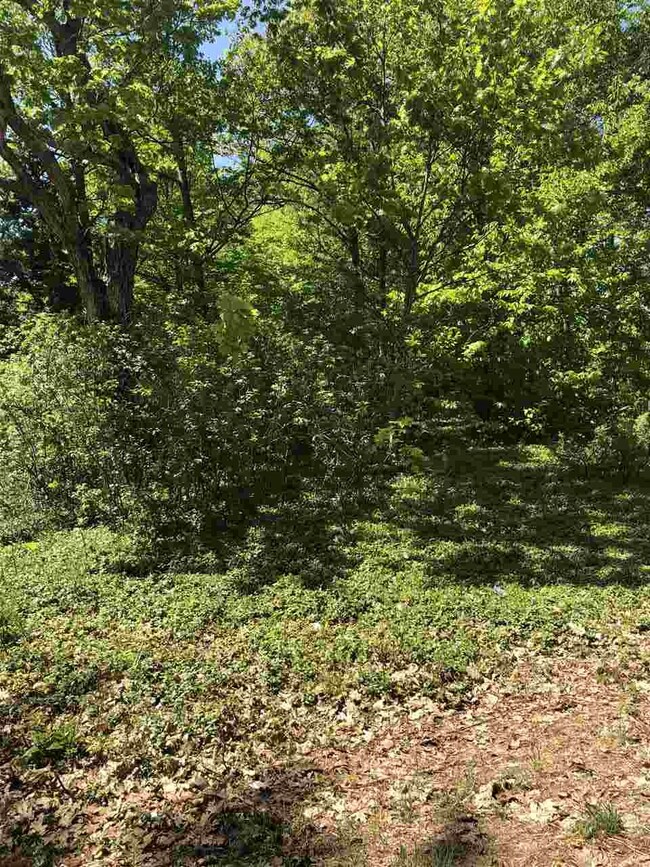 00 Province Lake Rd unit 18, East Wakefield, NH 03830 - photo 7