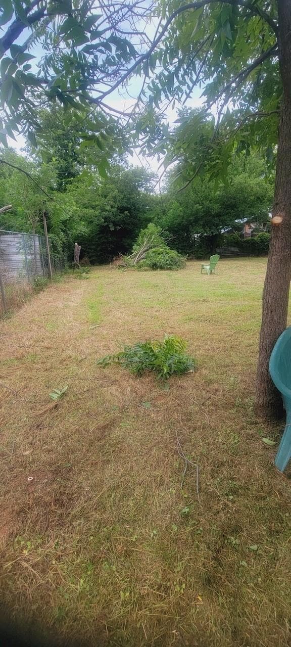 Lovely back yard