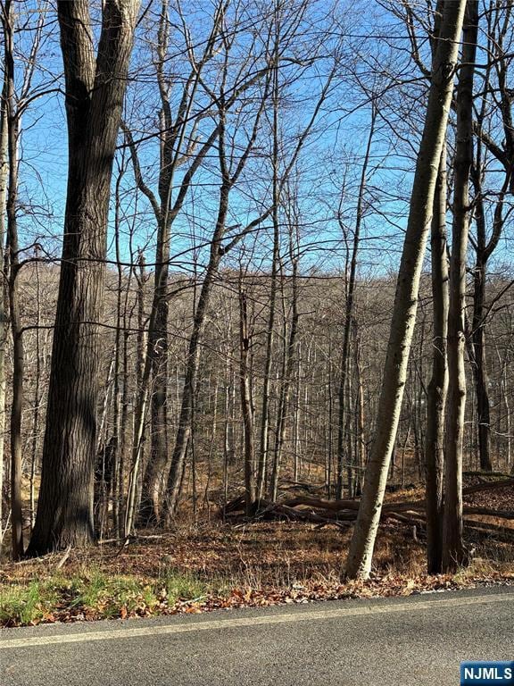 2 Kent Brook Terrace, Kinnelon Borough, NJ 07405 - photo 2